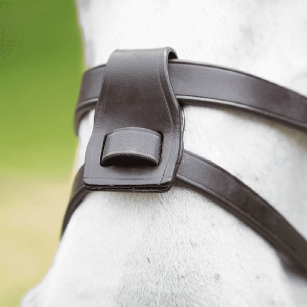 Blenheim Læderhest Fulmer Loops (pakke med 2)