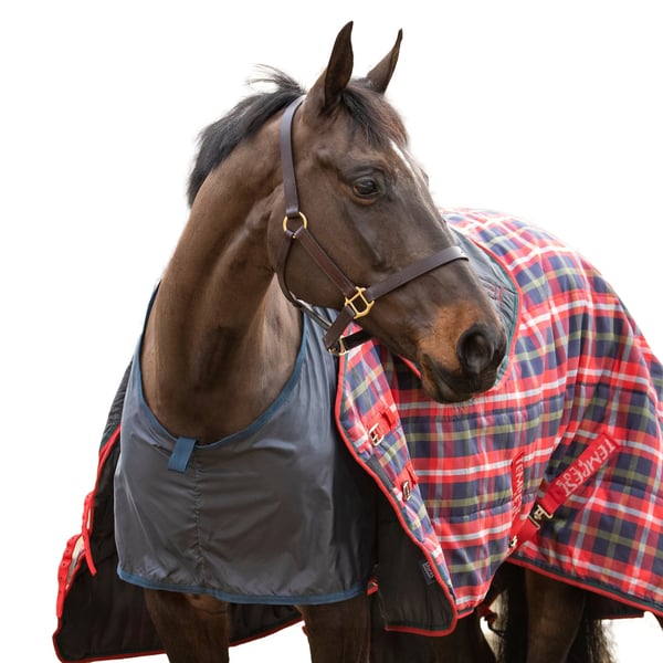 Shires Satin Anti-Rub Hästhaklapp