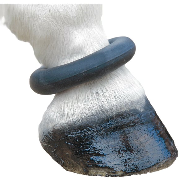 Shires Læder hest Fetlock ring