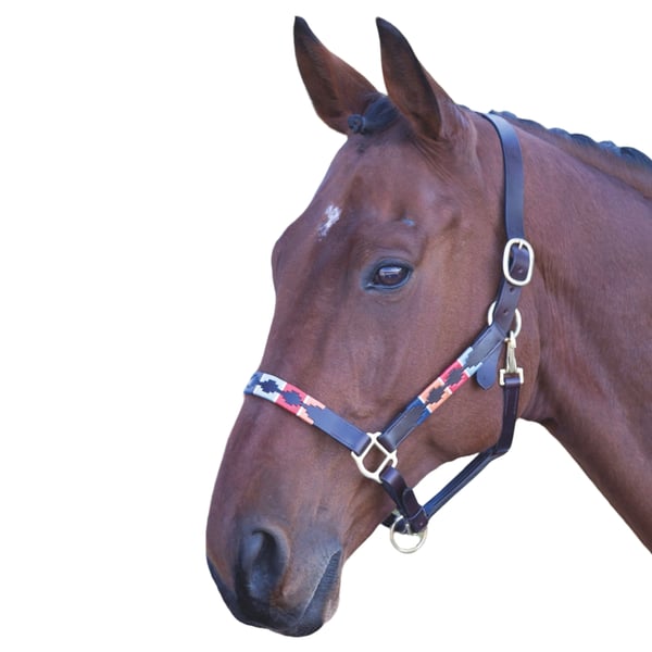 Blenheim Leather Polo Horse Headcollar