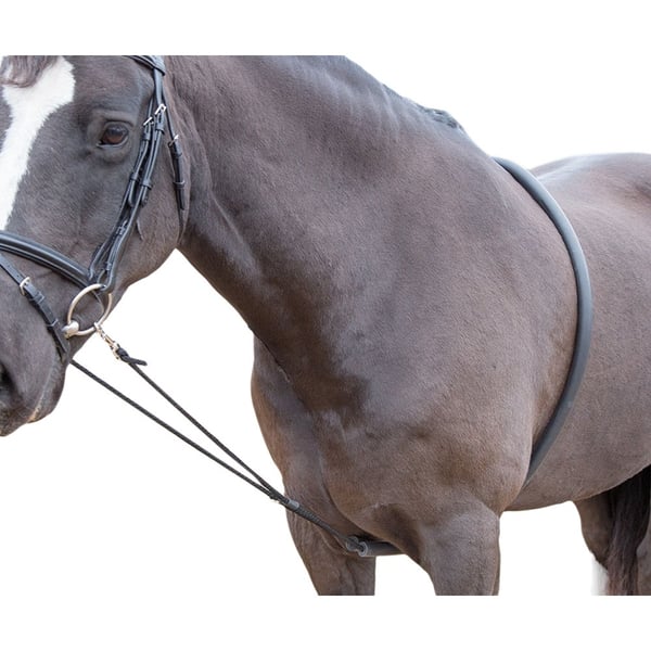 Shires-hevosen juoksutusapu