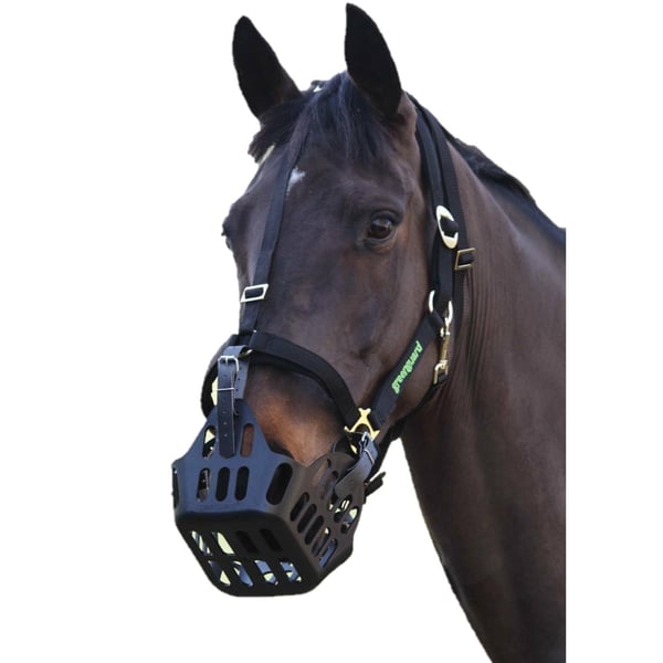 GreenGuard Headcollar til heste GreenGuard Headcollar til heste