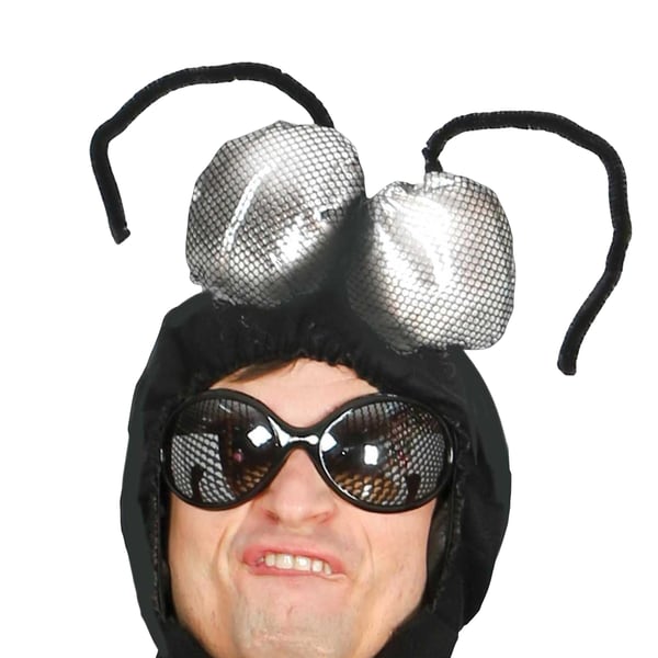 Fiestas Guirca Mens Fly Costume Set