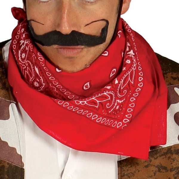 Fiestas Guirca Mens Cowboy Costume Set