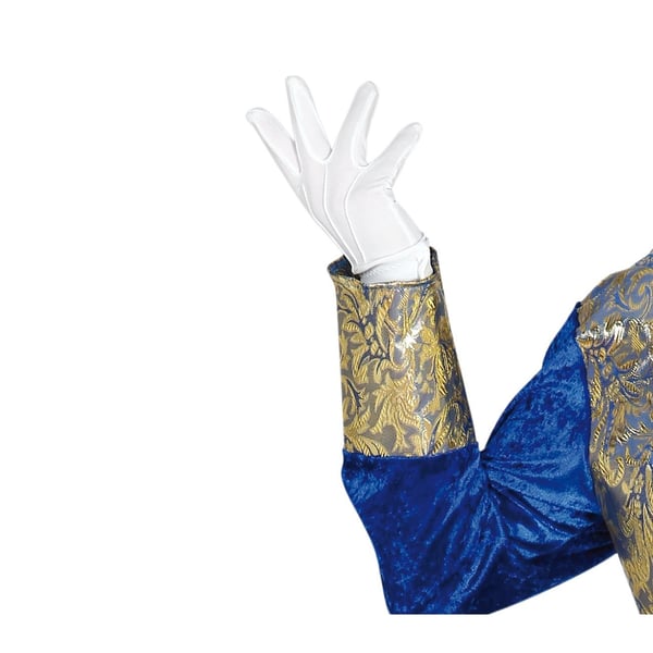 Fiestas Guirca Mens Marquise Costume Set