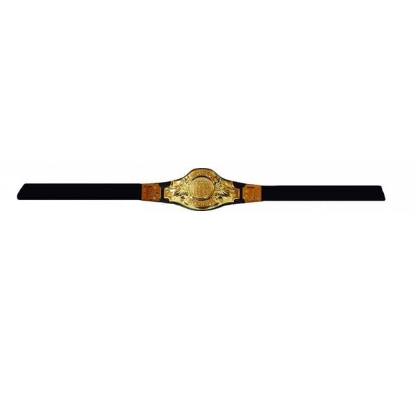 Fiestas Guirca Boxing Champion Belt