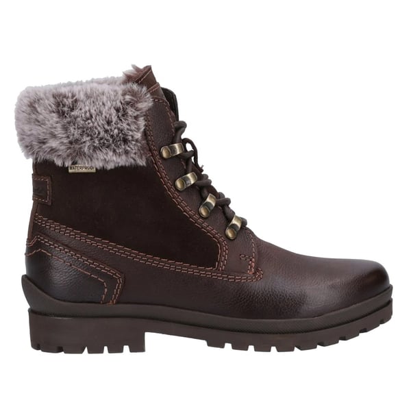 Cotswold Womens/Ladies Evenlode Ankle Boots