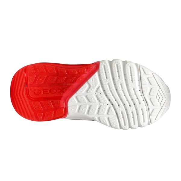 Geox Boys Ciberdron Trainers