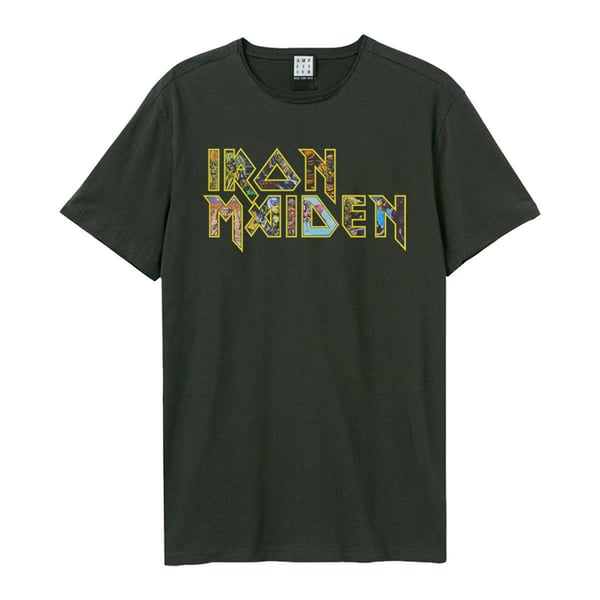 Iron Maiden Unisex Adult Iron Maiden Logo T-Shirt