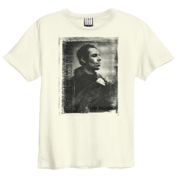 Amplified Unisex Adult Why Me Portrait Liam Gallagher Vintage T-Shirt Amplified Unisex Adult Why Me Portrait Liam Gallagher Vintage T-Shirt