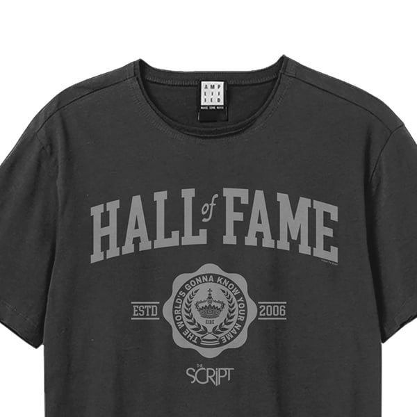 Amplified Unisex Aikuisten Hall Of Fame The Script T-paita