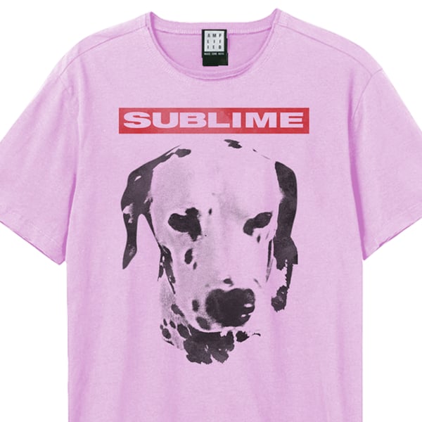 Amplified Unisex Adult What I Want Dalmation Sublime T-Shirt