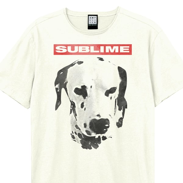 Amplified Unisex Adult What I Want Dalmation Sublime T-Shirt