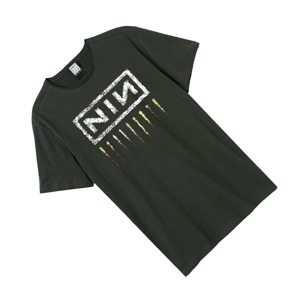 Amplified Unisex Adult Downward Spiral Nine Inch Nails Logo T-Shirt
