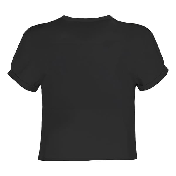 Amplified Womens/Ladies Pete And Carl The Libertines Crop Top