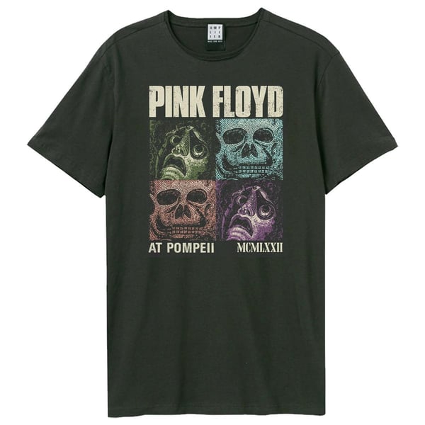 Amplified Unisex Adult Pompeii Masks Pink Floyd T-Shirt