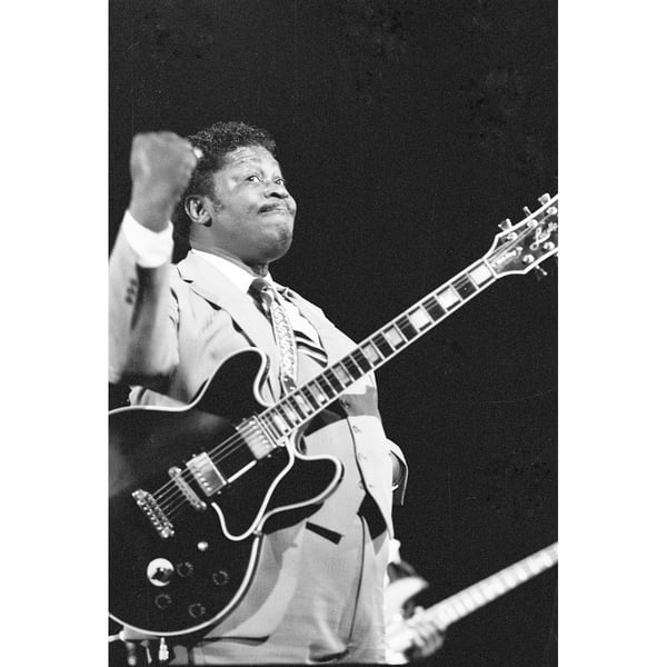 Amplified Unisex Aikuisten Joe Wise B.B. King T-paita
