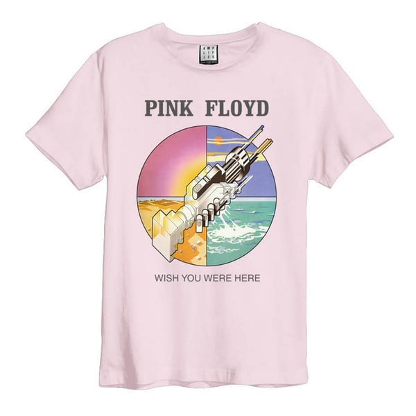 Amplified Unisex Adult Wish You Were Here Pink Floyd T-Shirt
