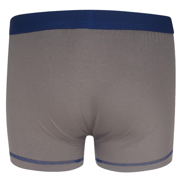 Tottenham Hotspur FC Boys Boxer Shorts