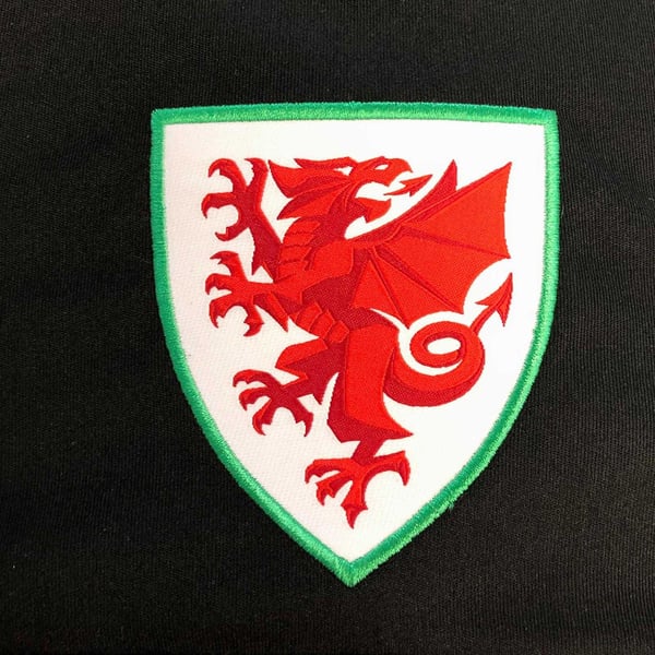 Wales Cymru Mens Polyester T-Shirt