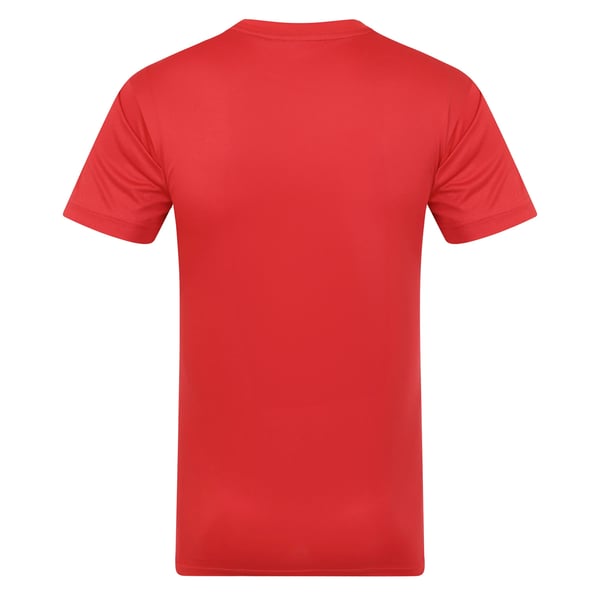 Wales Cymru Mens Polyester T-Shirt