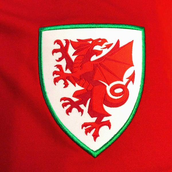Wales Cymru Mens Polyester T-Shirt