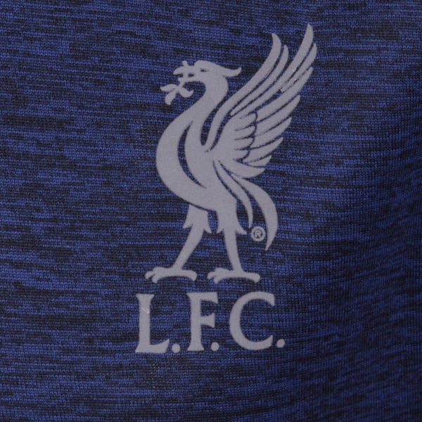 Liverpool FC Boys Polyester T-Shirt