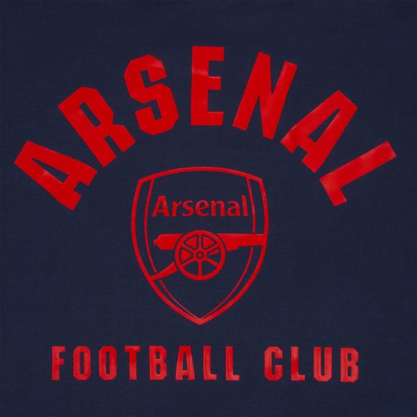Arsenal FC Boys Fleece Hoodie