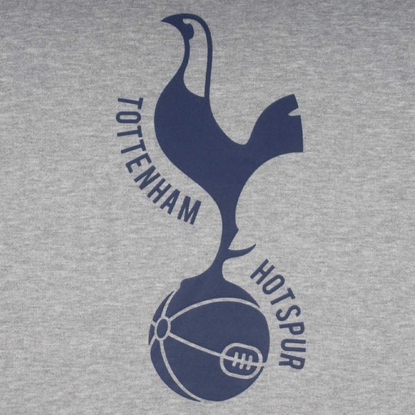 Tottenham Hotspur FC Miesten Graafinen Fleecetakki