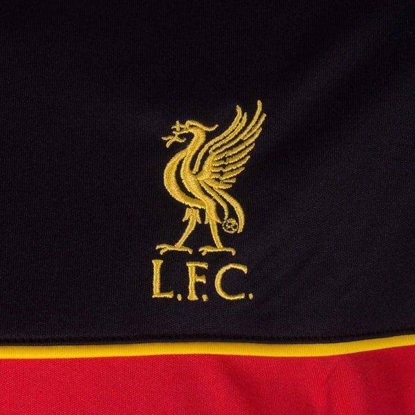 Liverpool FC Boys Polyester T-Shirt