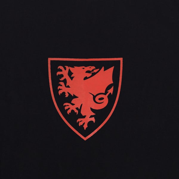 Wales Cymru Boys Graphic T-Shirt