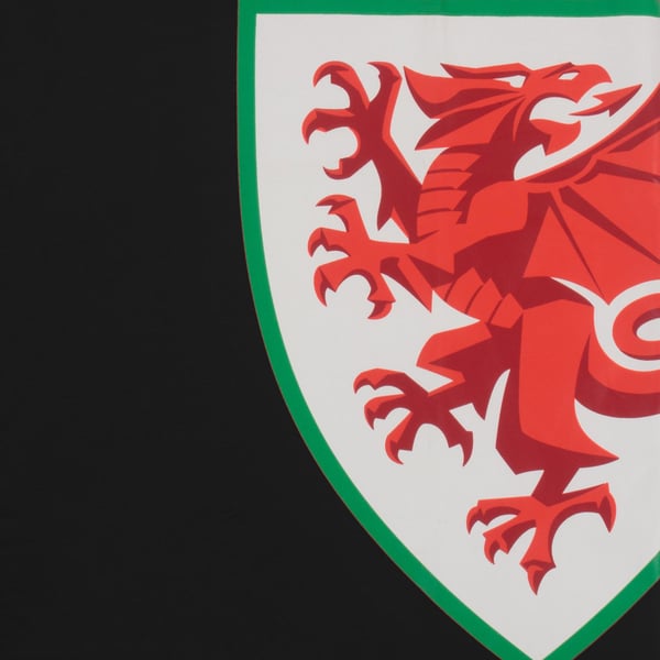 Wales Cymru Boys Graphic T-Shirt