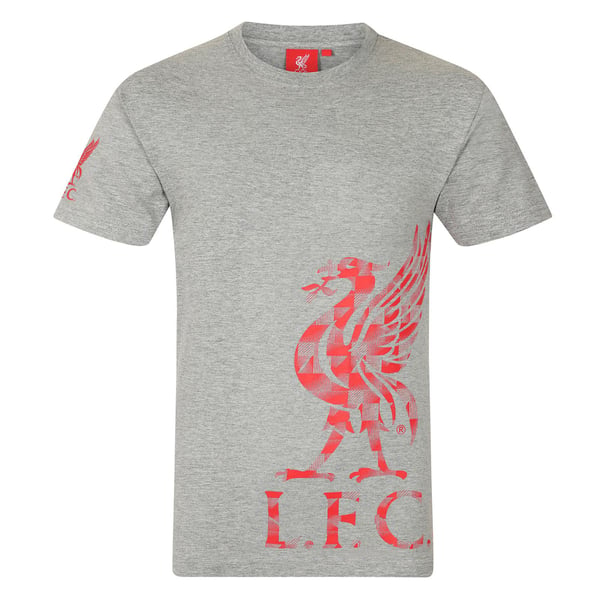 Liverpool FC Pojkar Crest T-shirt