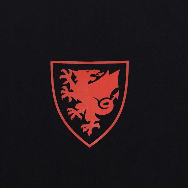 FA Wales miesten graafinen T-paita