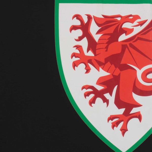 FA Wales miesten graafinen T-paita
