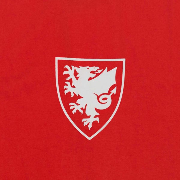 FA Wales miesten graafinen T-paita
