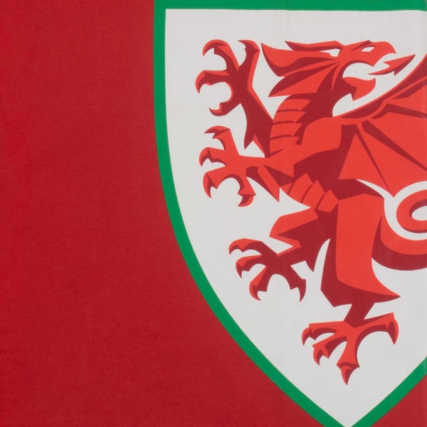 FA Wales miesten graafinen T-paita