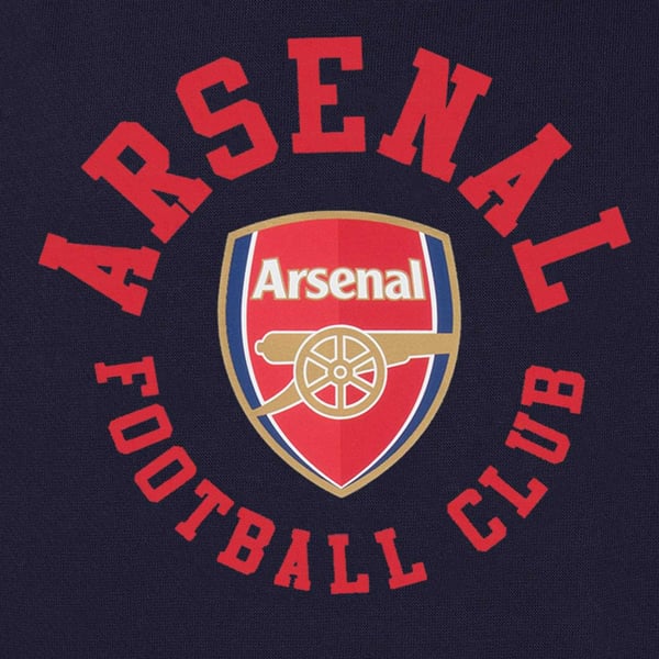 Arsenal FC Mens Fleece Contrast Trim Hoodie