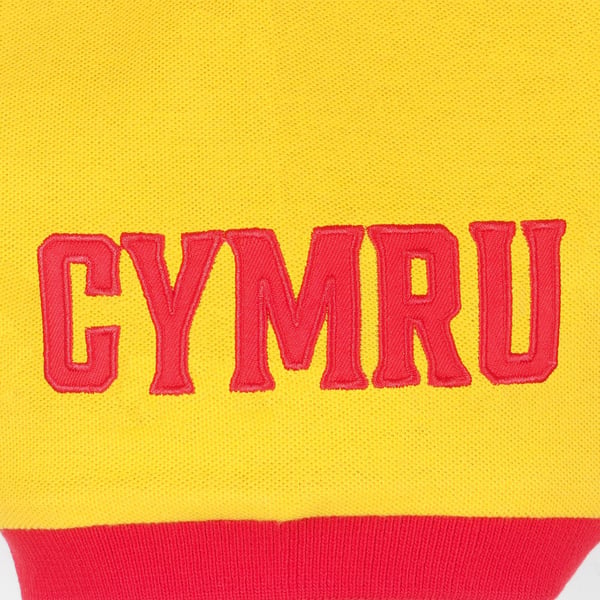 Wales Cymru Boys Contrast Sleeves Polo Shirt