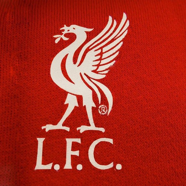 Liverpool FC Mens Fleece Hoodie