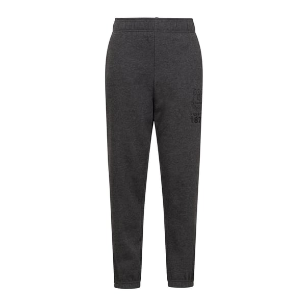 Everton FC Boys Fleece Slim Jogging Bottoms