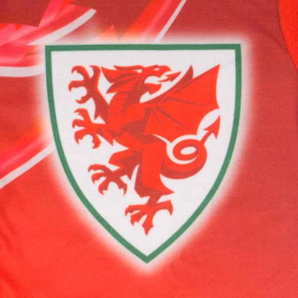 Wales Cymru Childrens/Kids Crest Fleece All-In-One Nightwear