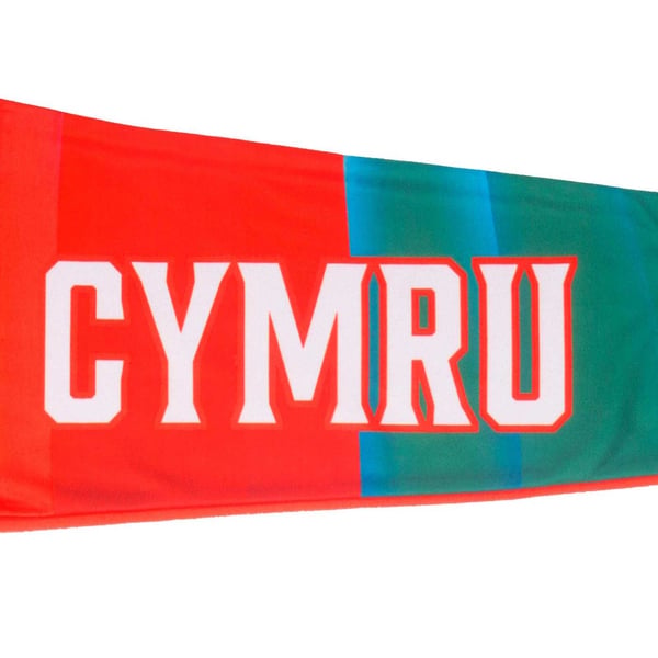 Wales Cymru Childrens/Kids Crest Fleece All-In-One Nightwear