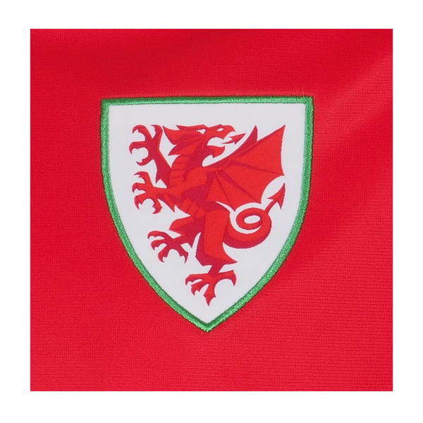 Wales Cymru Mens Retro Bomber Jacket