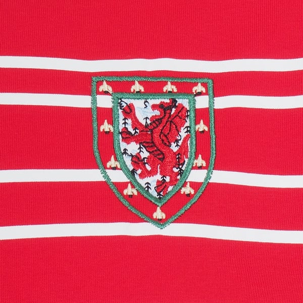 FA Wales Miesten T-paita
