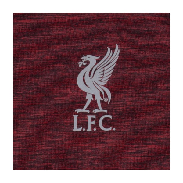Liverpool FC Boys Polyester T-Shirt