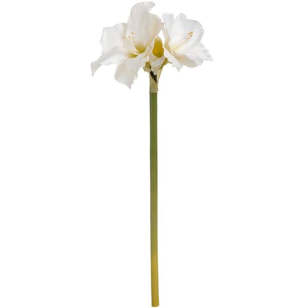 Hill Interiors Enkelt kunstig amaryllis blomsterstilk