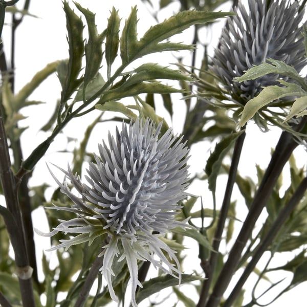Hill Interiors Kunstig Eryngium Thistle