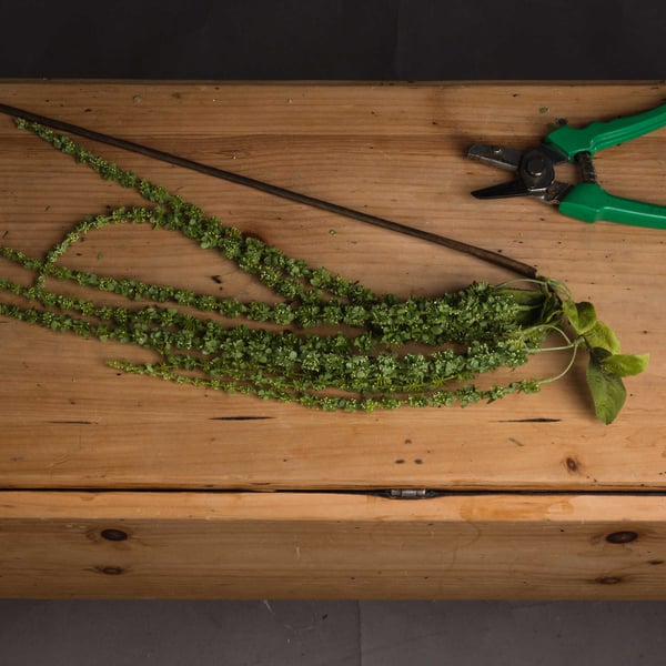 Hill Interiors Faux Amaranthus