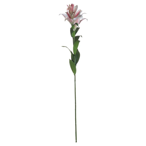 Hill Interiors Stargazer Lily Artificial Flower (Pack of 1) Hill Interiors Stargazer Lily Artificial Flower (Pack of 1)
